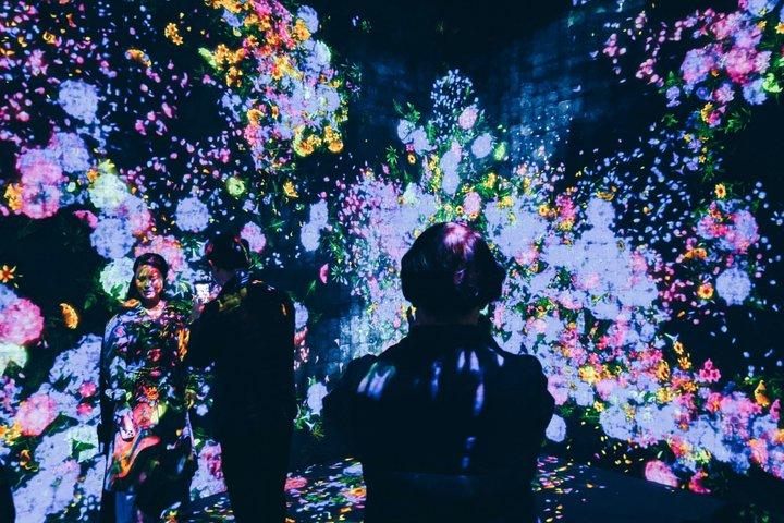 Tokyo Private Tour: teamLab Borderless & Tokyo City View