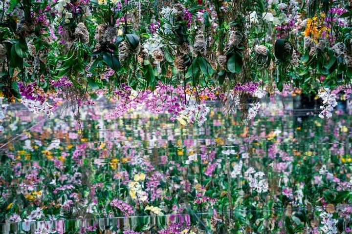 Tokyo Private Tour: teamLab Borderless & Imperial Palace