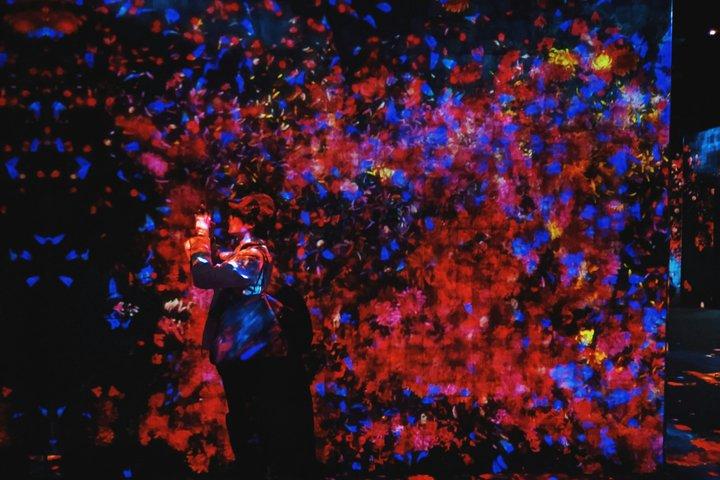 Tokyo Private Tour: teamLab Borderless & Imperial Palace