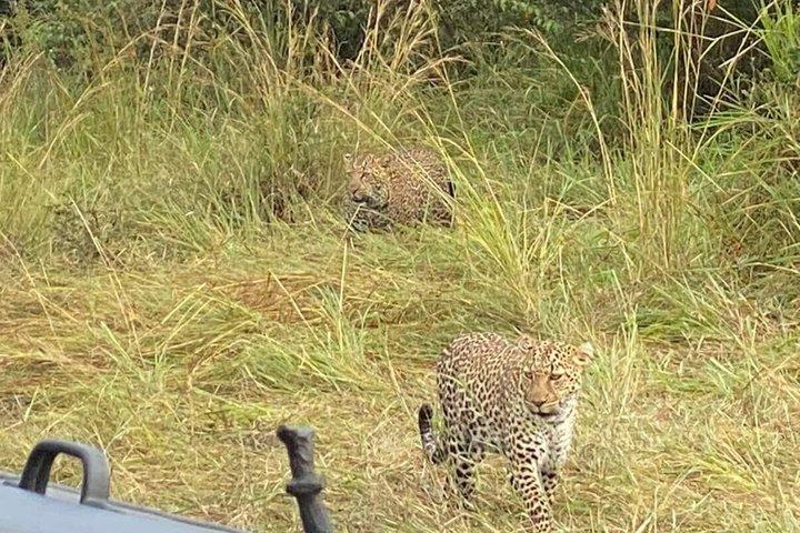 Tsavo East Big Five Safari from Diani and Mombasa Full Day 4x4