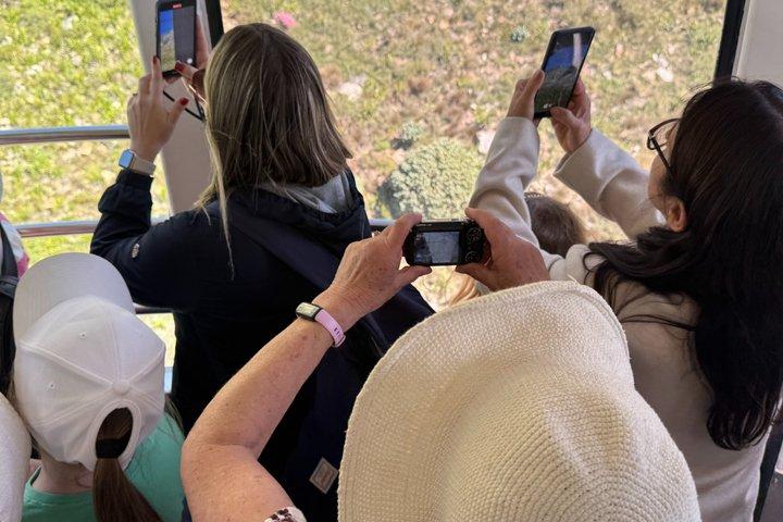 Table Mountain Cableway Ticket Self Guided Experience