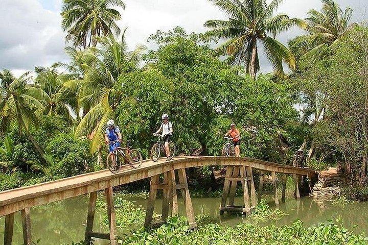Small Group Mekong Delta Day Tour Departing from Ho Chi Minh City