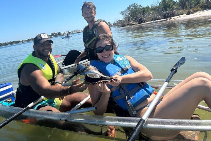 2 Hour Clear Kayak Mangrove Eco Tours, St Pete