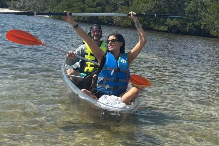 2 Hour Clear Kayak Mangrove Eco Tours, St Pete