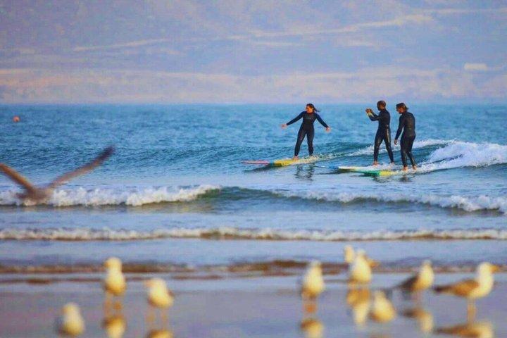 Day Trip to Essaouira : Surf Lesson & Three-Course Lunch Included