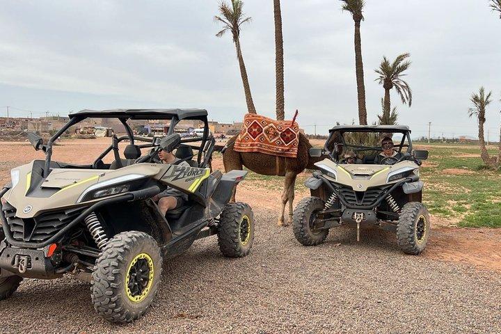 Buggys and camel ride to the Palmeraie minimum two people