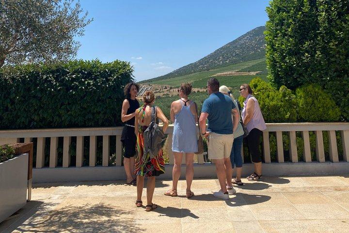 Kavala: Winery tour & Wine Tasting with food pairings in Kavala