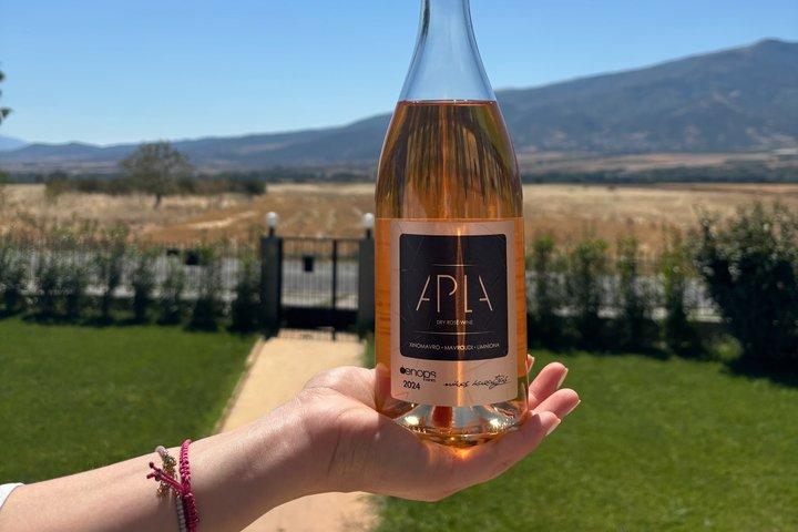 Kavala: Winery tour & Wine Tasting with food pairings in Kavala