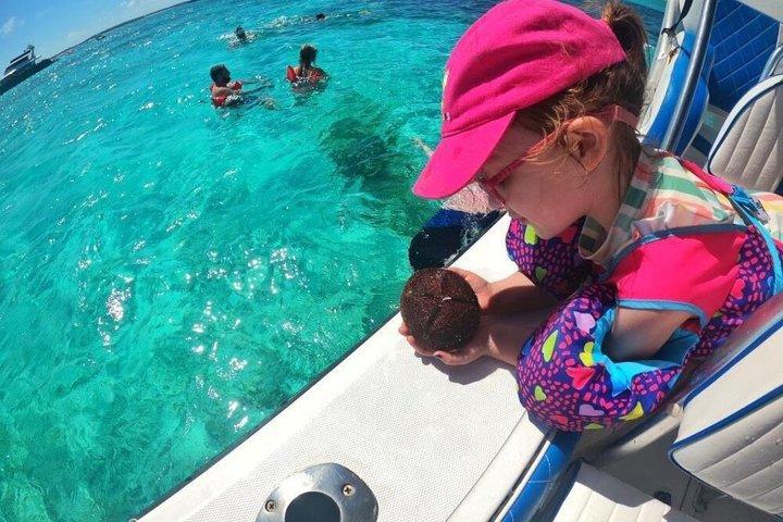 Rose Island Adventure: Snorkel, Sea Turtles, and Private Beach