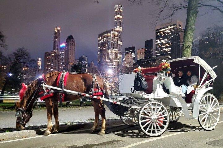 Private Guided Horse Drawn Carriage Rides Through Central Park