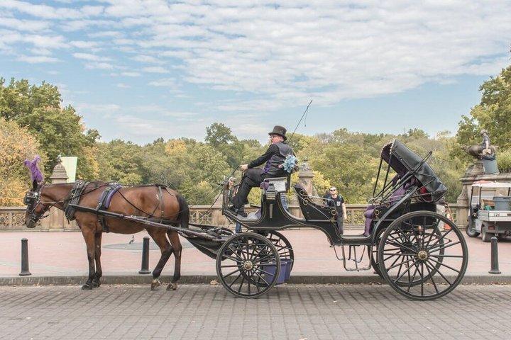 Private Guided Horse Drawn Carriage Rides Through Central Park