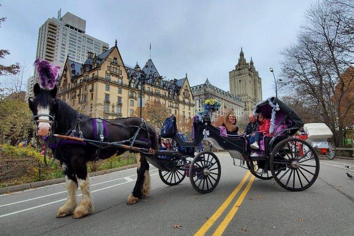 Private Guided Horse Drawn Carriage Rides Through Central Park