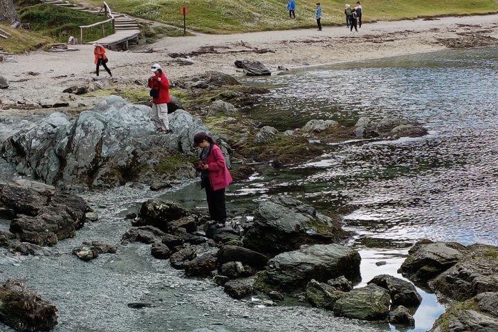 TIERRA DEL FUEGO NATIONAL PARK & TRAIN (optional) Tour