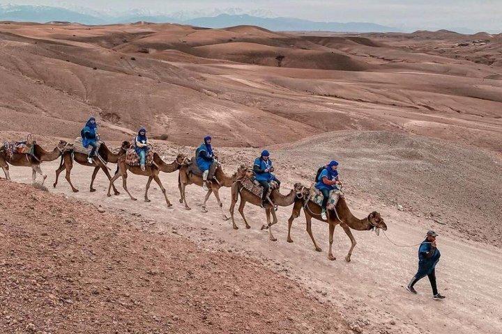Agafay Desert Adventure: Quad, Camel Ride, Pool & Lunch