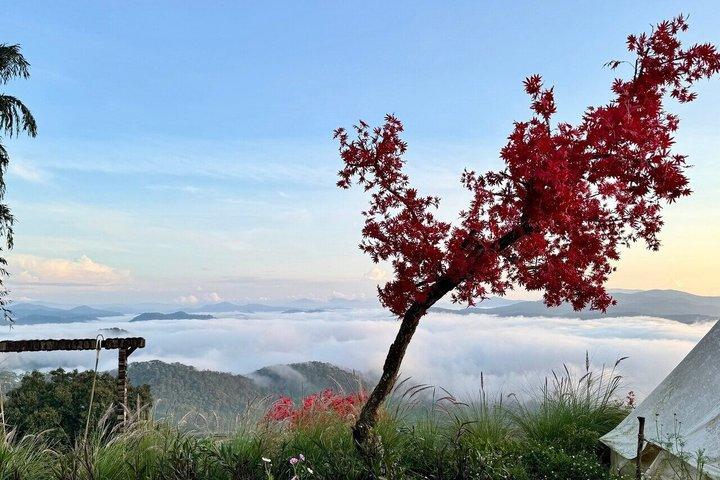 Cloud Hunting and Golden Sunrise in Da Lat
