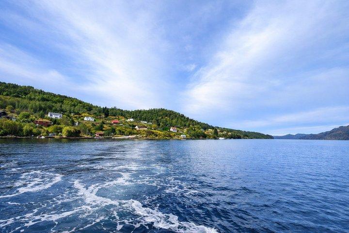 Bergen: Guided City Walk, Osterøy Island & Fjord Experience