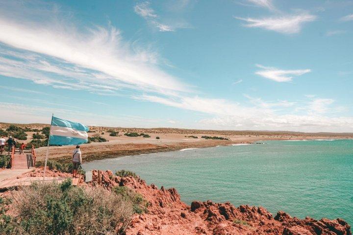 Puerto Madryn Full Day Excursion to Punta Tombo