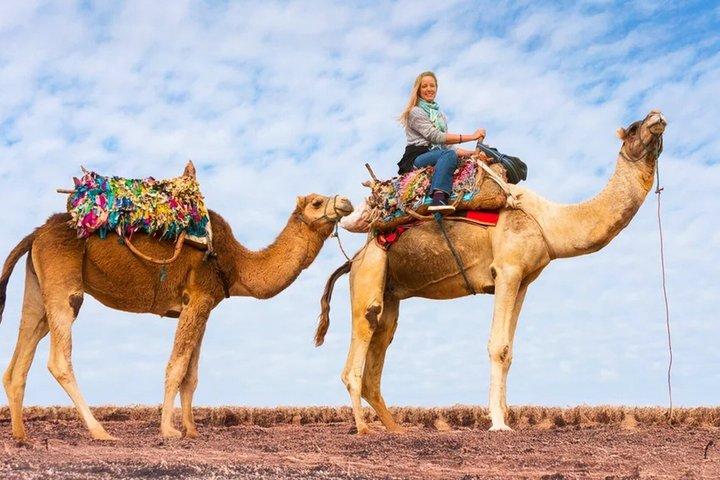 Desert Agafay Marrakech Sunset Camel Ride, Dinner Sw Hotel Pickup