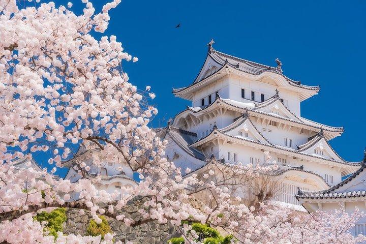 Osaka Departure: Private Customized Himeji Castle Day Trip