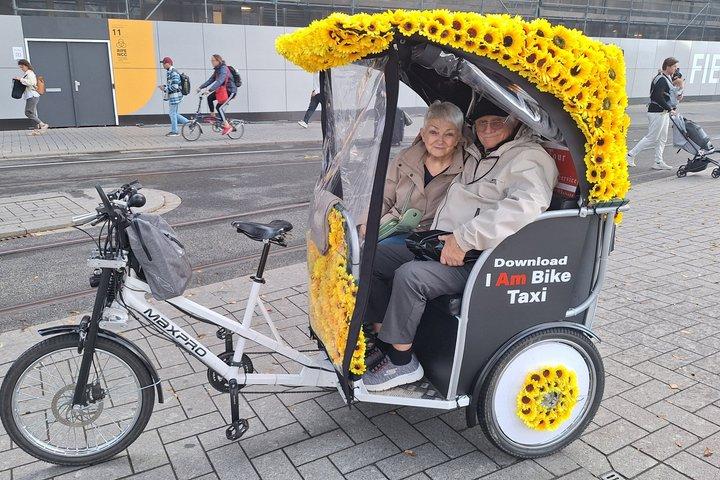 1 Hour Private Amsterdam Rickshaw Tour