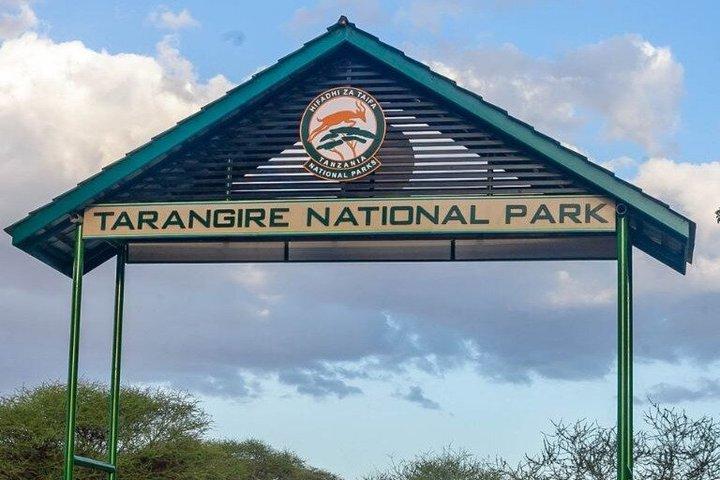 Tarangire National Park Day Trip