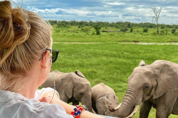 Tarangire National Park Day Trip