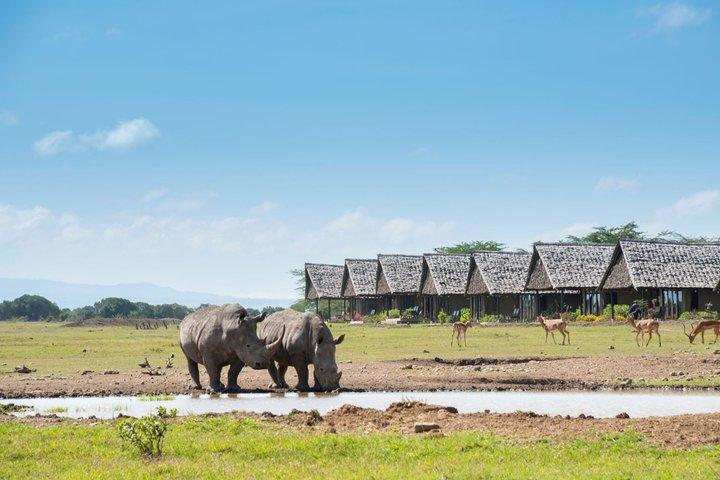 3 Day Ol Pejeta Flight Safari