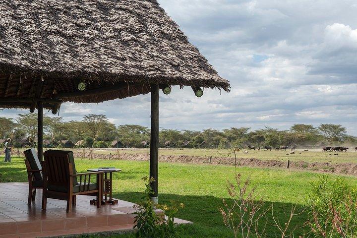 3 Day Ol Pejeta Flight Safari
