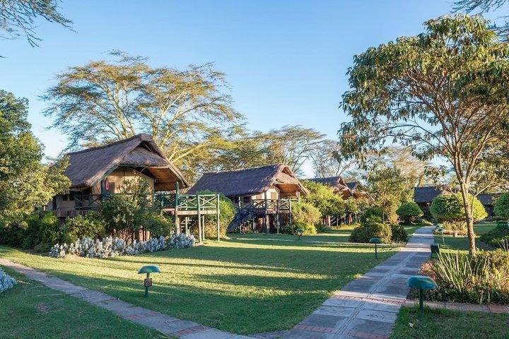 3 Day Ol Pejeta Flight Safari