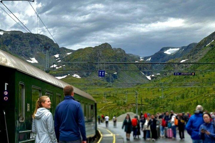 Private Full-Day Round Trip from Oslo to Sognefjord via Flåm Railway