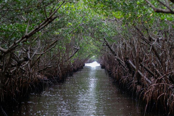Miami Everglades National Park Half Day Small Group Tour