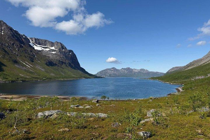 Tromsø: Arctic Nature & Fjords Small-Group Sightseeing Tour