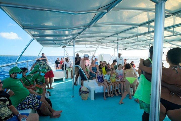 Saona Island Catamaran and Beach with Lunch from Bayahibe