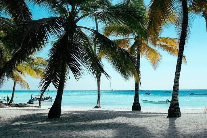 Saona Island Catamaran and Beach with Lunch from Bayahibe