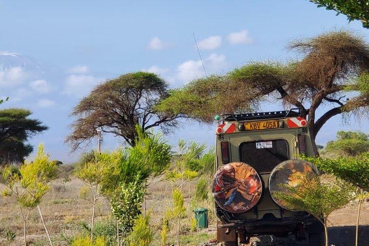 7 days maasai mara - Lake Nakuru - Lake Naivasha - Amboseli safari