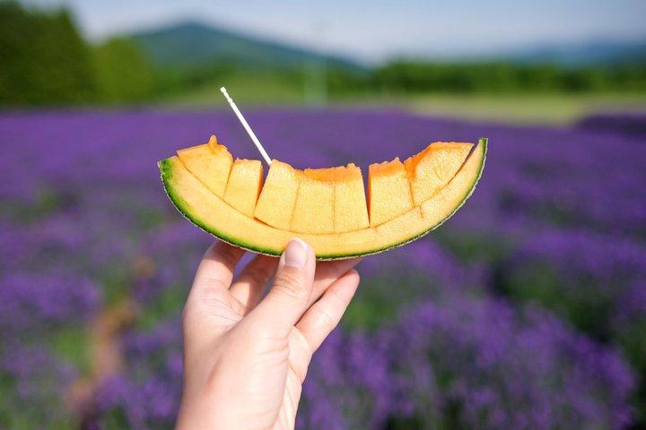 [Late Departure] Biei Best 5 Must-Visit Day Tour from Sapporo