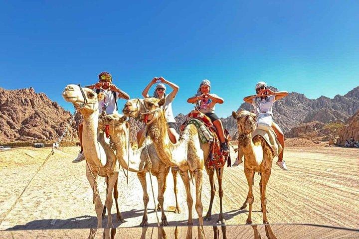 Quad Biking and Camel Ride Adventure in Sharm El Sheikh