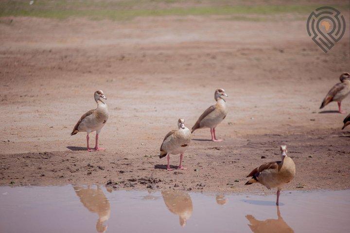 Luxury Private Safari Escape to Ngorongoro Crater –All Inclusive