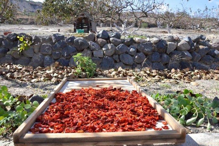 Santorini Cultural Highlights with Farm-to-Table Food & Wine