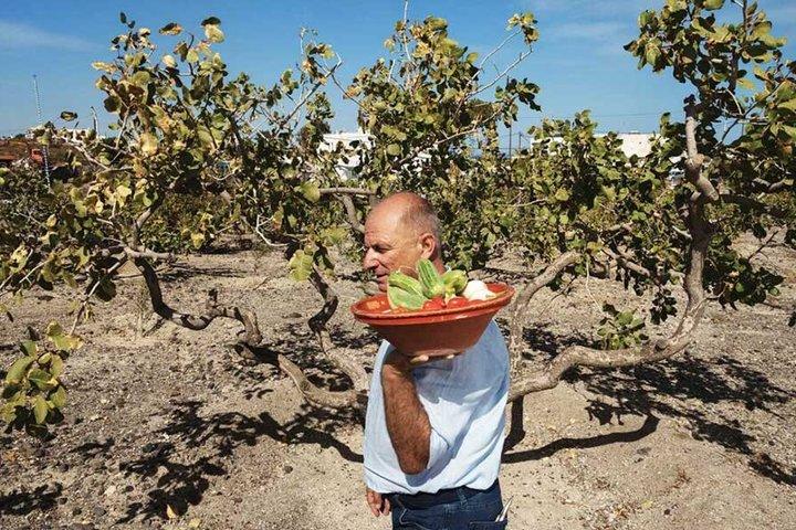 Santorini Cultural Highlights with Farm-to-Table Food & Wine
