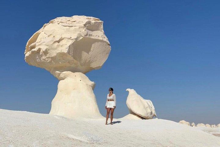White Desert Private Safari Bahariya Camping and Hotel