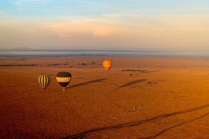 3 Day Maasai Mara Group Safari Big Five Adventure from Nairobi