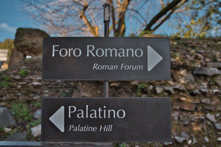 Roman Forum & Palatine Hill Guided Tour with Super Sites