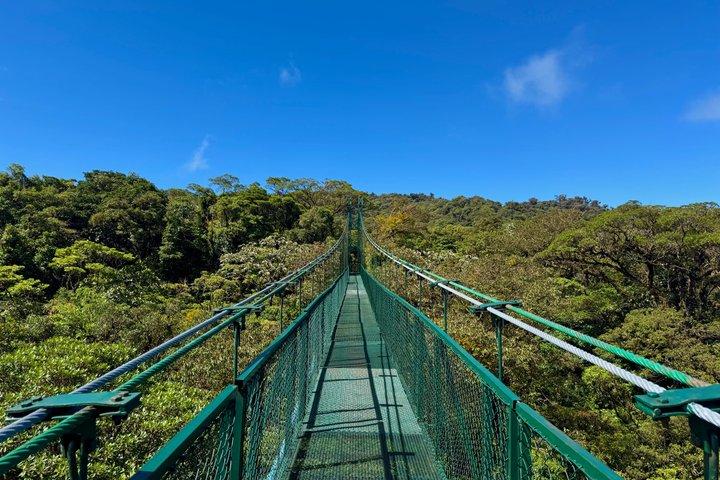 Selvatura Park Hanging Bridge Tour in Monteverde