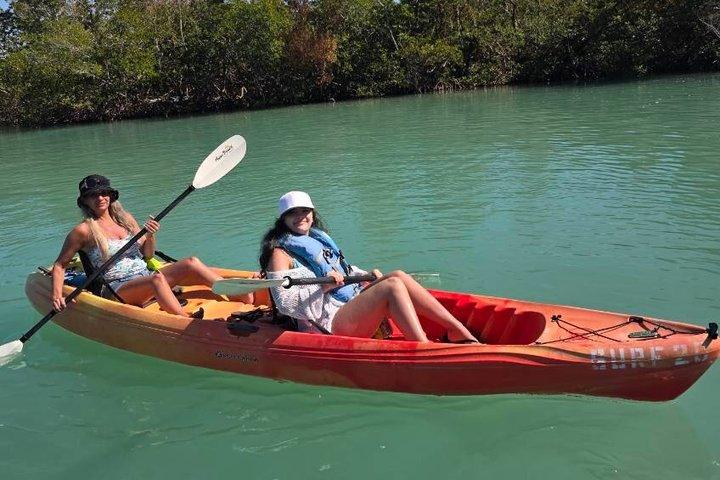 Mangroves & Midnight Pass Beach Kayak Tour