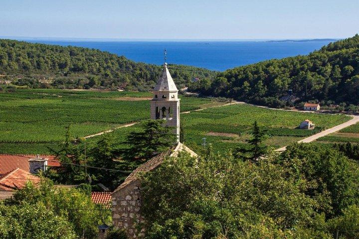 Korcula Wine Tour Tasting Local Varieties with Traditional Bites