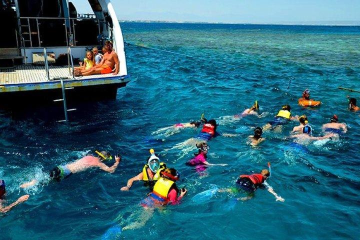Dolphin house VIP trip in hurghada with snorkeling & lunch