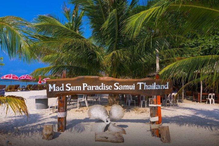 Koh Madsum Pig island and Koh Tan Half Day tour by Speed boat