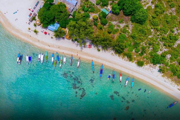 Koh Madsum Pig island and Koh Tan Half Day tour by Speed boat