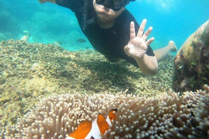 Private Batam Island Snorkeling and Canoe from Singapore